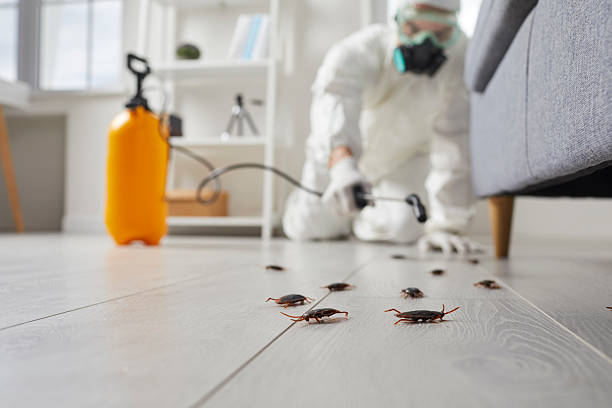 Commercial Kitchen Cockroach Control in East Dennis